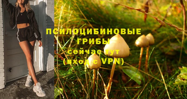 эйфоретик Строитель