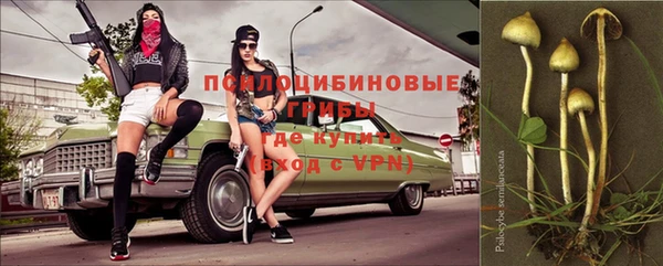 гидра Сосновка