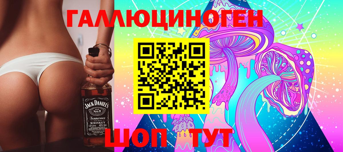 Псилоцибиновые грибы Cubensis Среднеуральск
